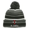 Sideline Beanie Thumbnail